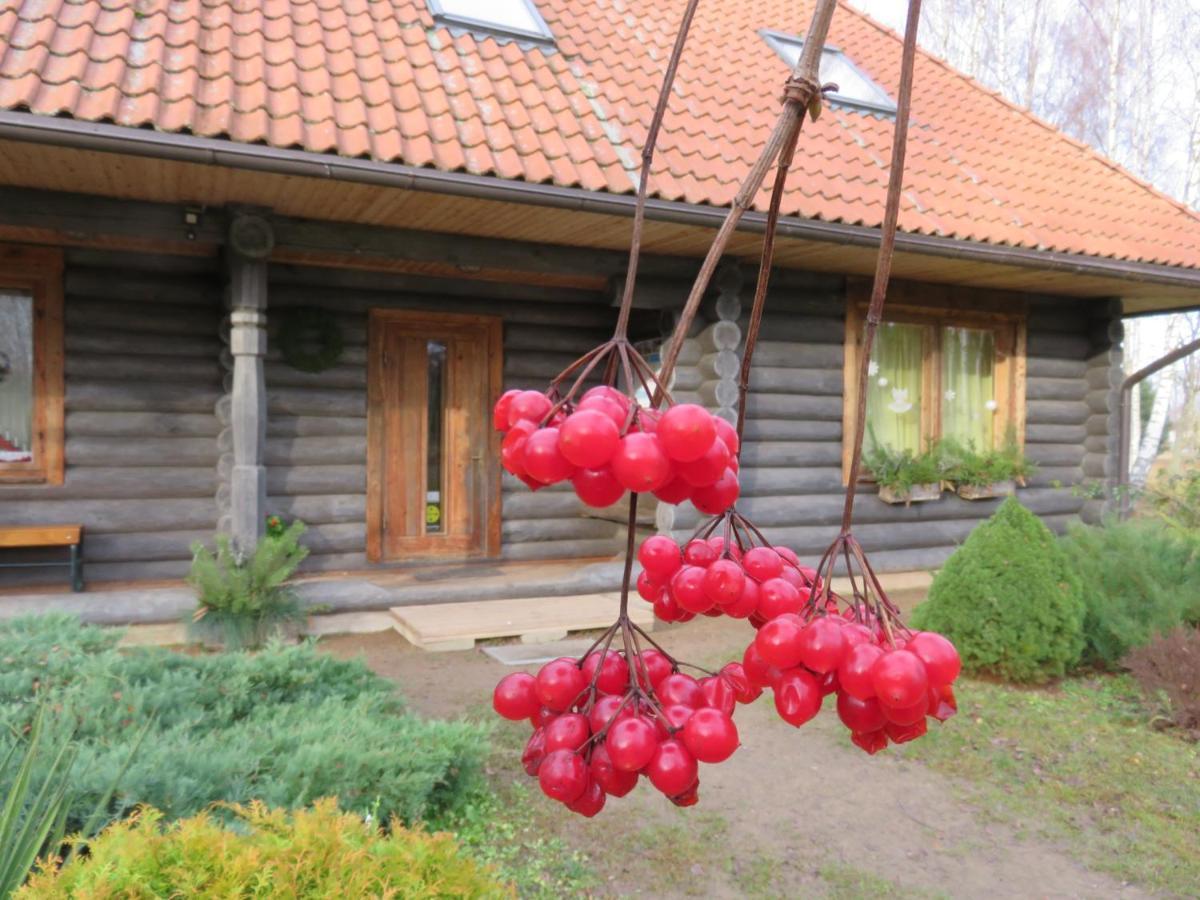 Valgalciems Guest House Leveri מראה חיצוני תמונה