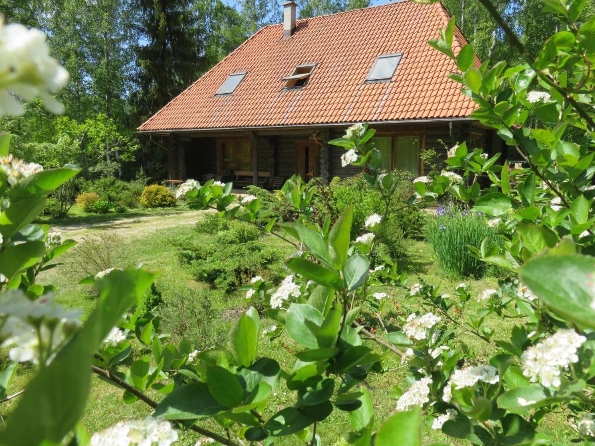 Valgalciems Guest House Leveri מראה חיצוני תמונה